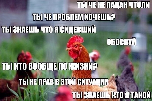 Разные приколы