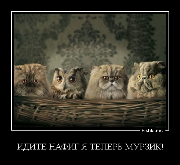 Идите нафиг я теперь Мурзик!