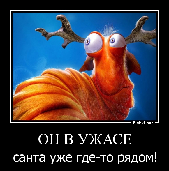 Он в ужасе