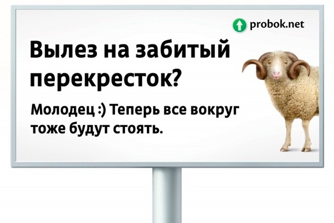 В Москве объявили охоту на «баранов» за баранкой