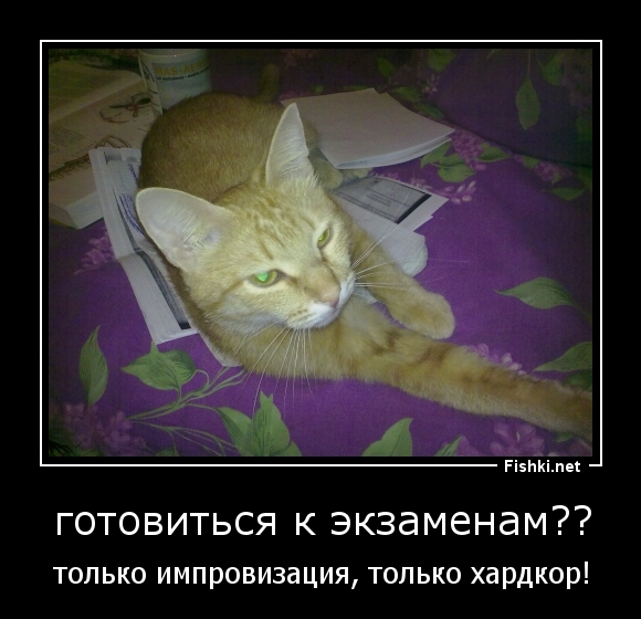 готовиться к экзаменам??