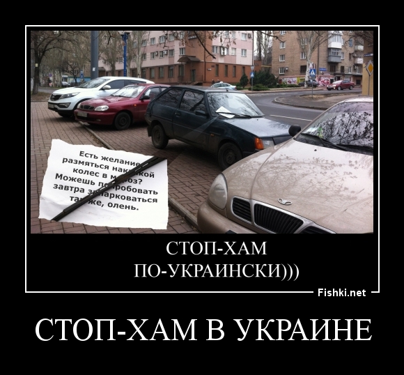 Стоп-Хам в Украине