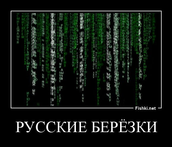 Русские берёзки