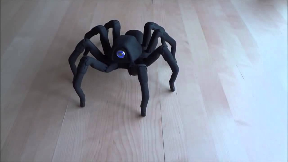 Танцующий паук! 