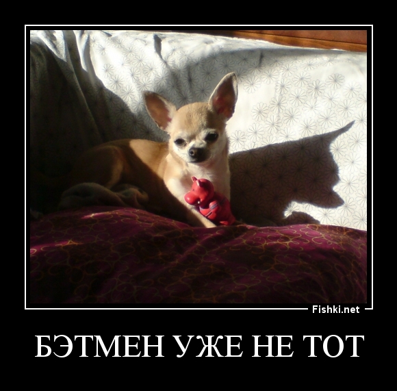 Бэтмен уже не тот