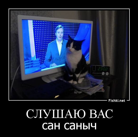 Слушаю Вас
