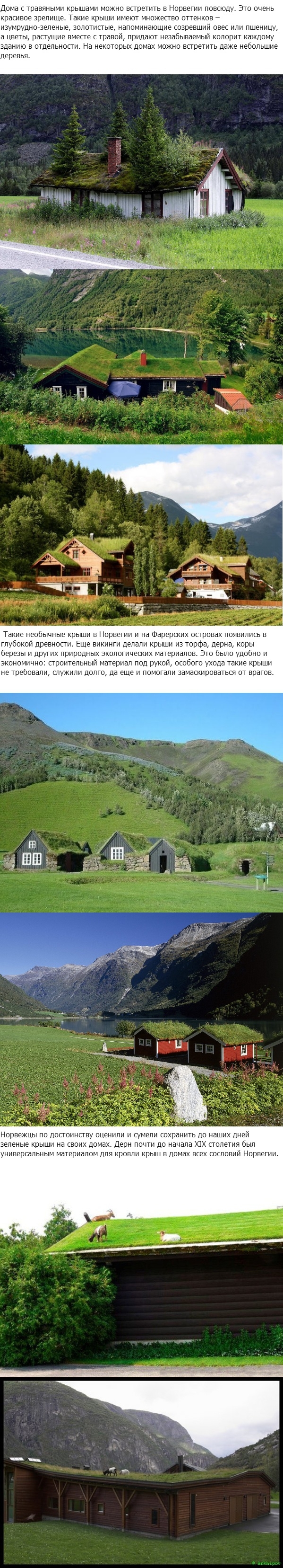 Зеленые крыши Норвегии