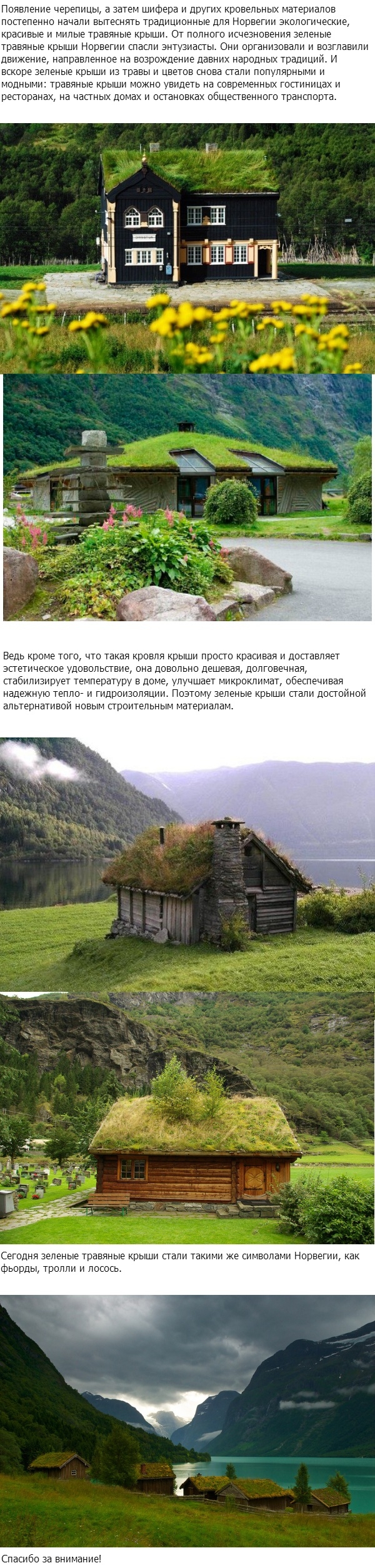 Зеленые крыши Норвегии