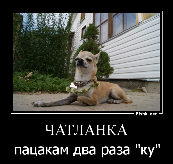 Чатланка