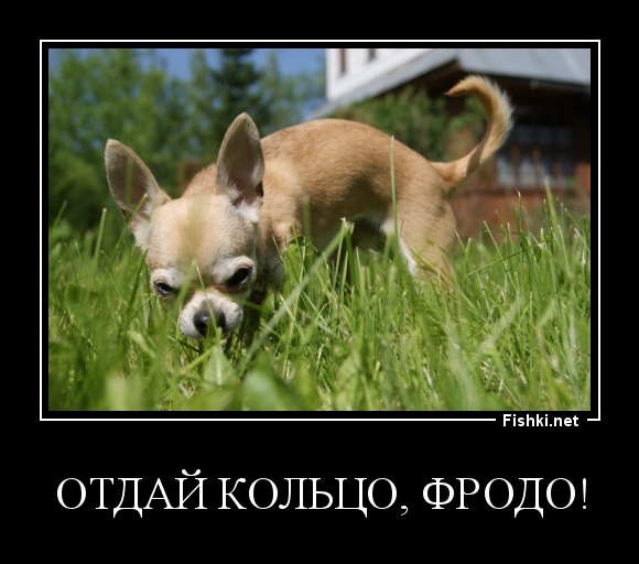 Отдай кольцо, Фродо!
