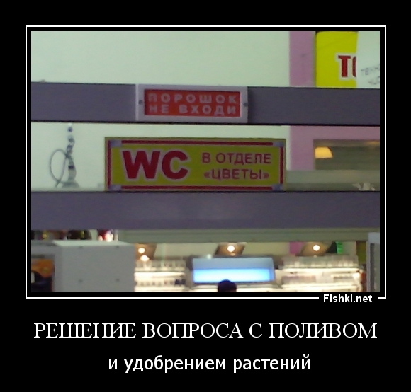 Решение вопроса с поливом