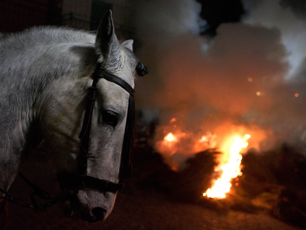 Огонь и лошади: День святого Антонио