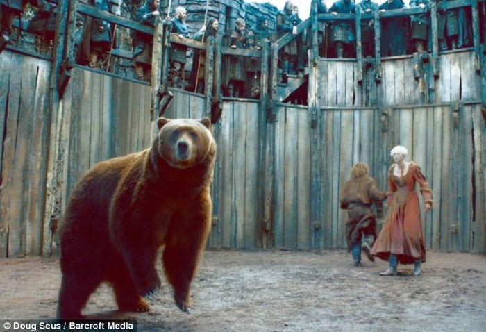 За кадром фильмов с участием медведей