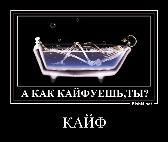 КАЙФ