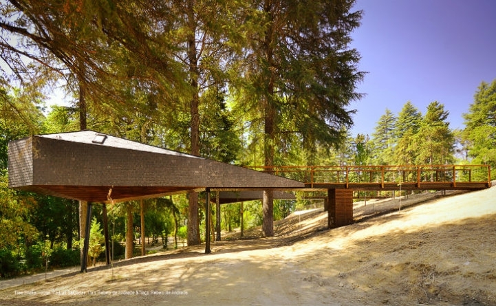 Лесные экодома Tree Snake Houses