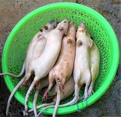 Экзотические блюда