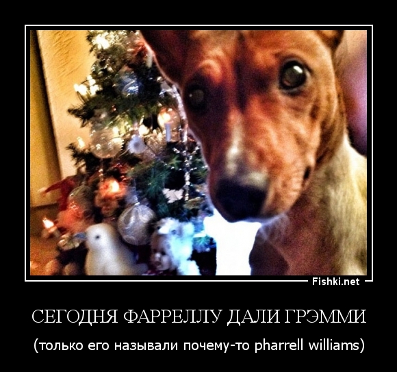 СЕГОДНЯ ФАРРЕЛЛУ ДАЛИ ГРЭММИ