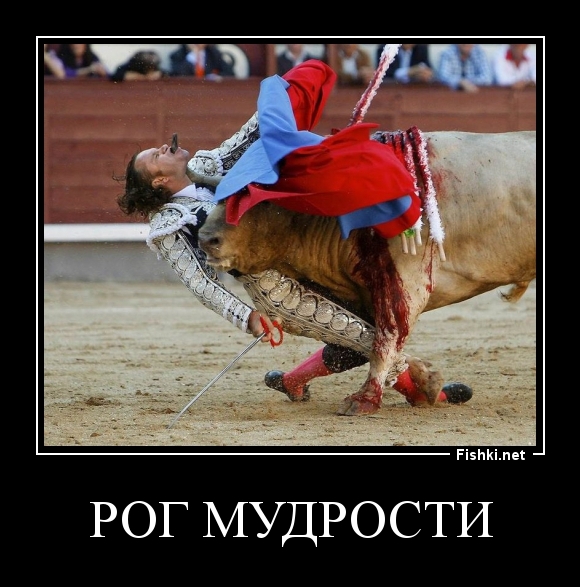 Рог мудрости