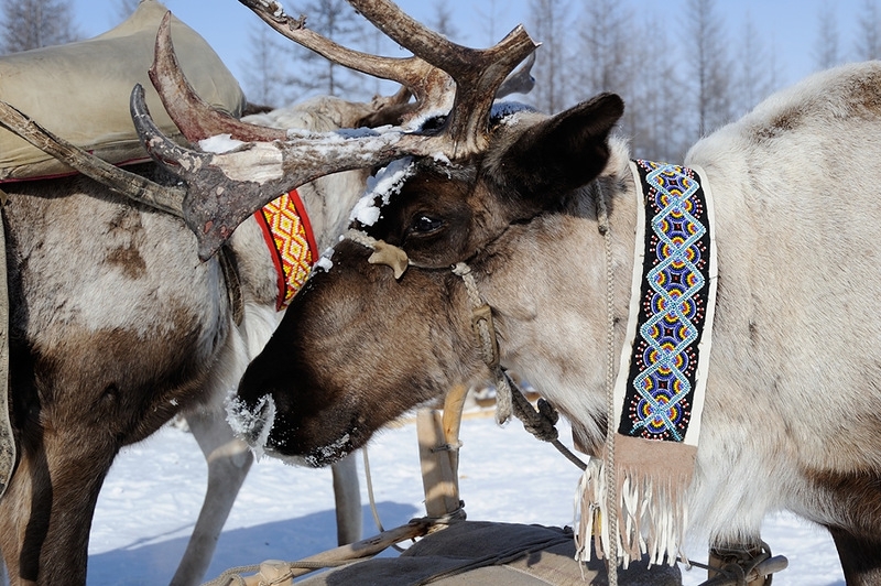 Национальная одежда  малочисленных народов Якутии