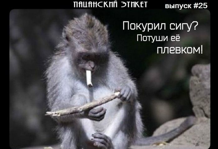 Пацанский Этикет