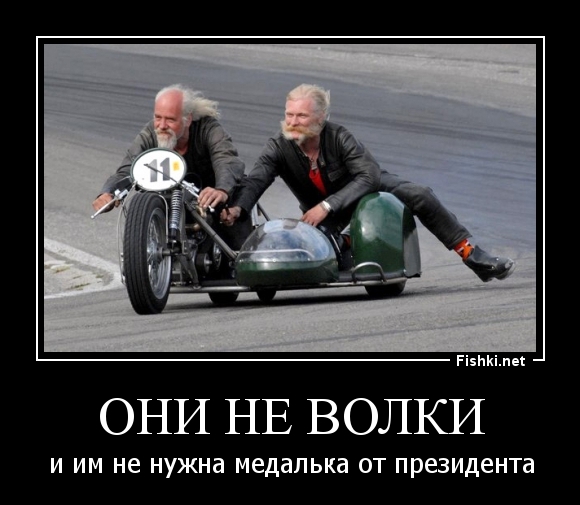 они не волки
