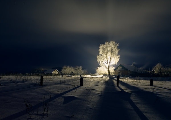 Фотоподборка за 29.01.2014