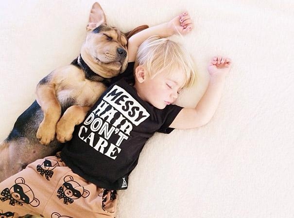 Очаровательная фотосессия спящего ребенка и щенка. Часть 2