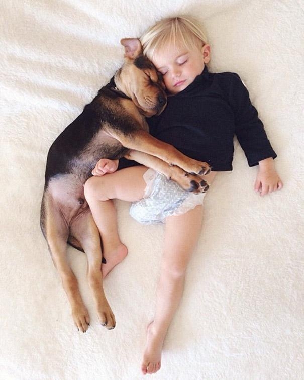 Очаровательная фотосессия спящего ребенка и щенка. Часть 2