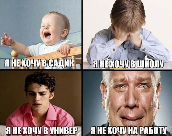 Приколы из сети