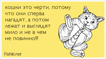 кошки это черти, потому что они сперва нагадят, а потом лежат и выглядят мило и не в чем не повинно!!! 