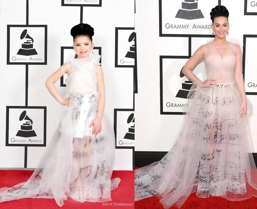 Мини знаменитости на Grammy's 2014