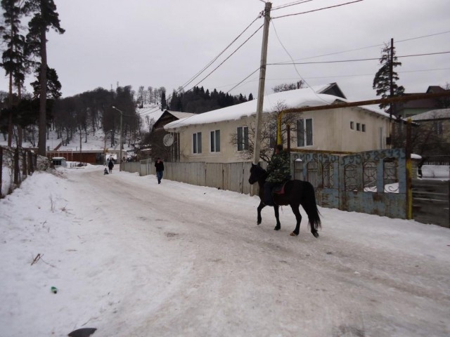 Впечатления о жизни в Грузии