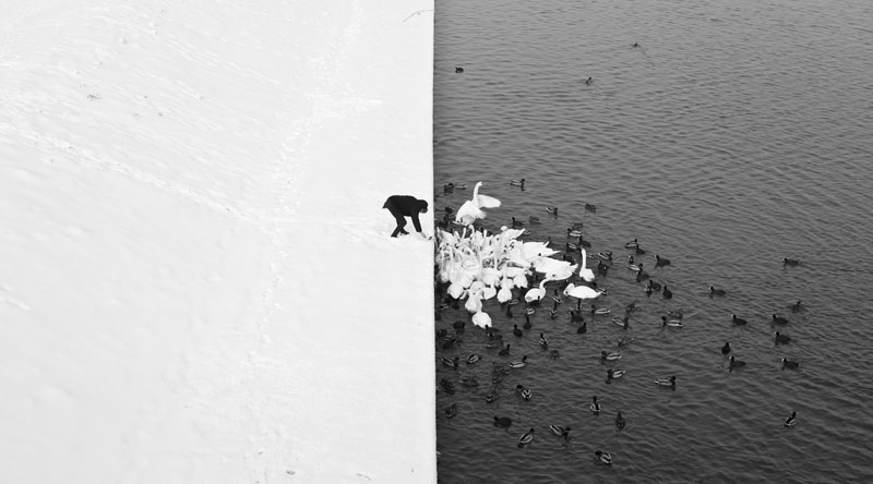 Лучшие фотографии со всего мира