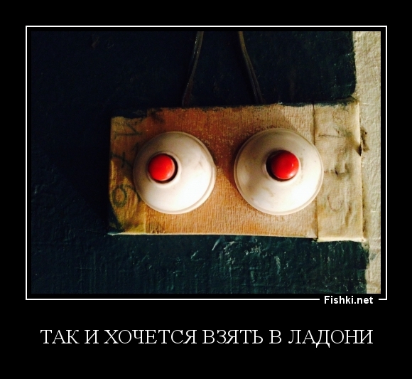 Так и хочется взять в ладони