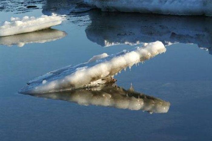 Фотоиллюзии, которые получились случайно