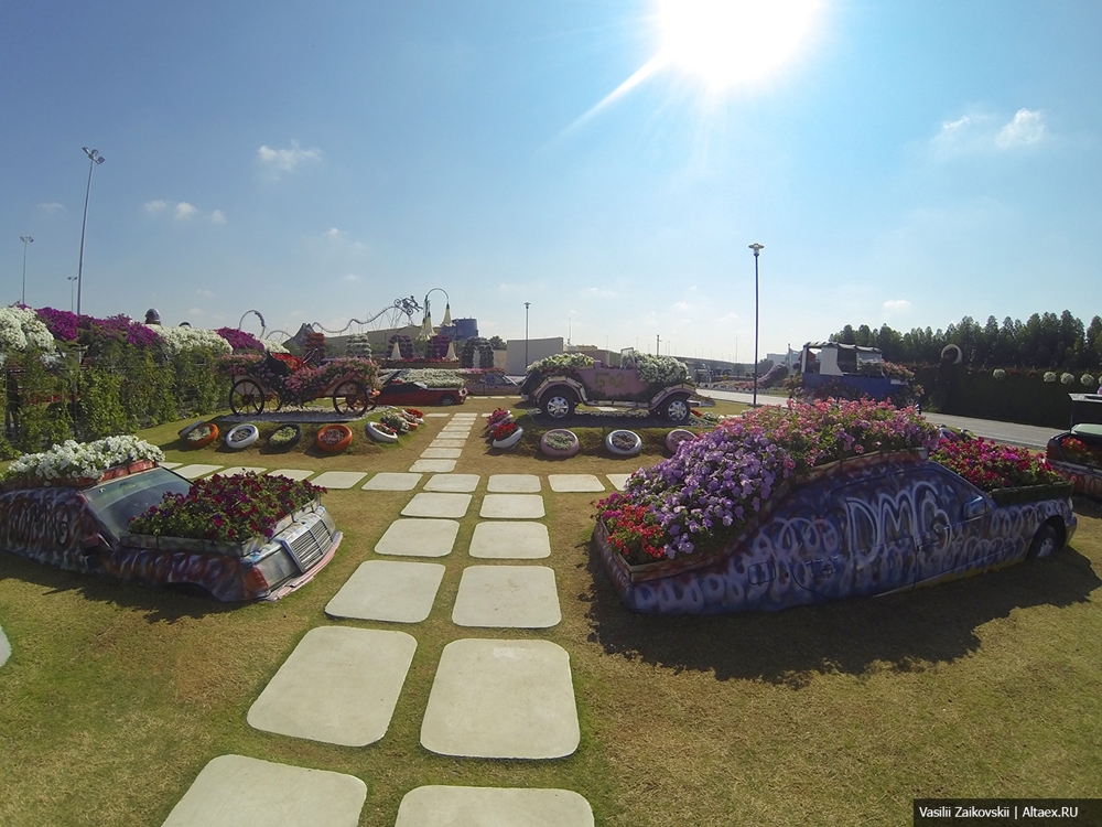 Dubai Miracle Garden - место, где автомобили растут на газонах!