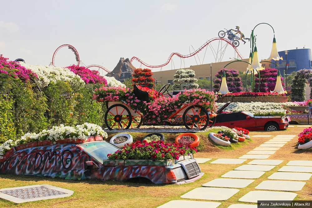 Dubai Miracle Garden - место, где автомобили растут на газонах!