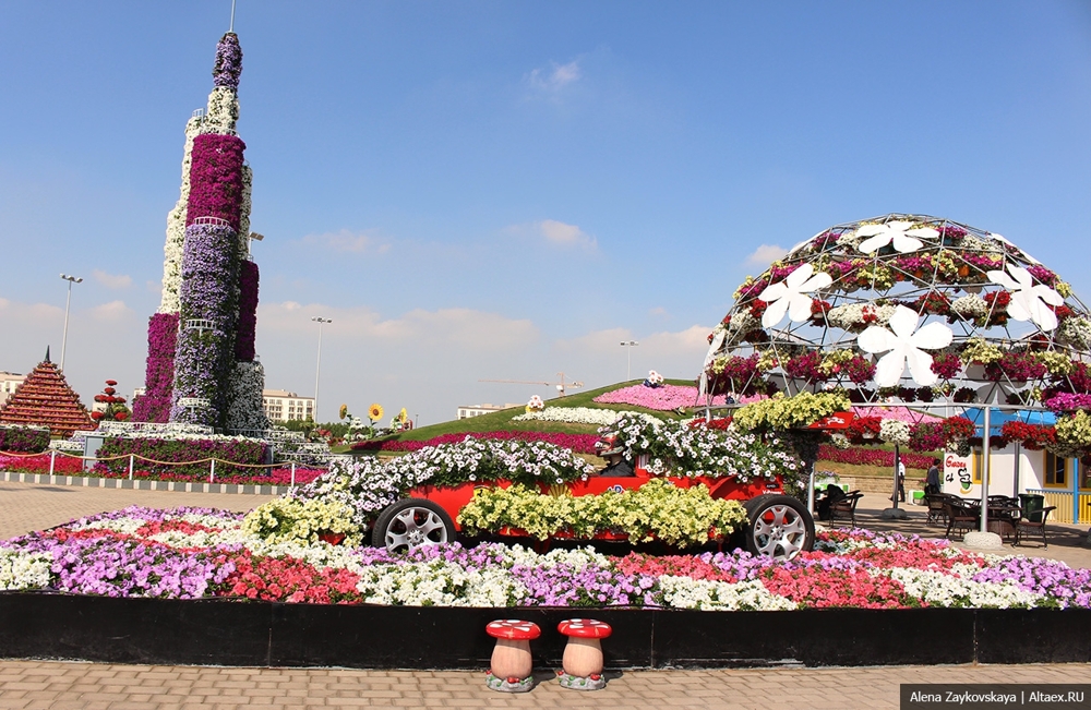 Dubai Miracle Garden - место, где автомобили растут на газонах!