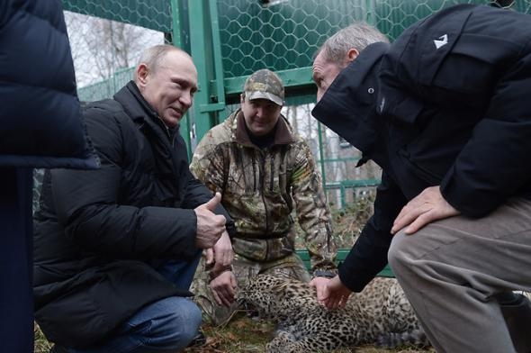 Путин зашел в клетку с леопардом 