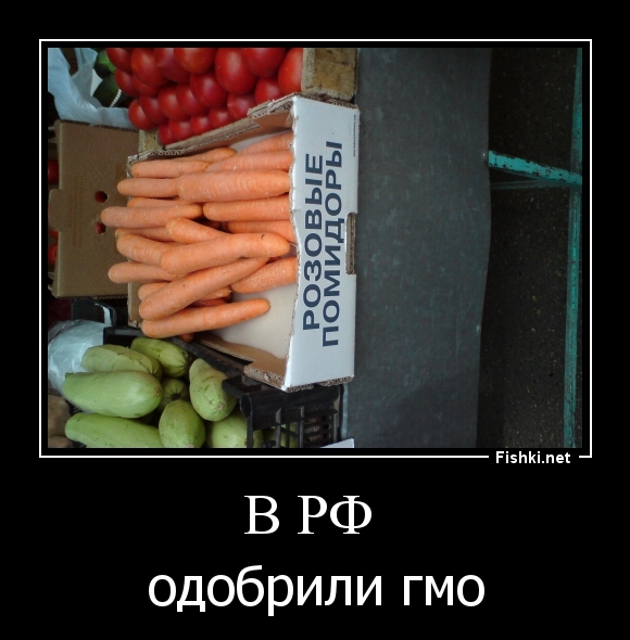 В РФ 