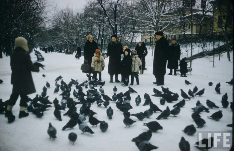 20 фото маленьких москвичей начала 1960-го