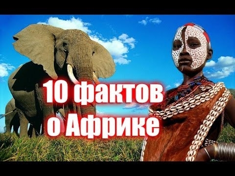 10 фактов о Африке 