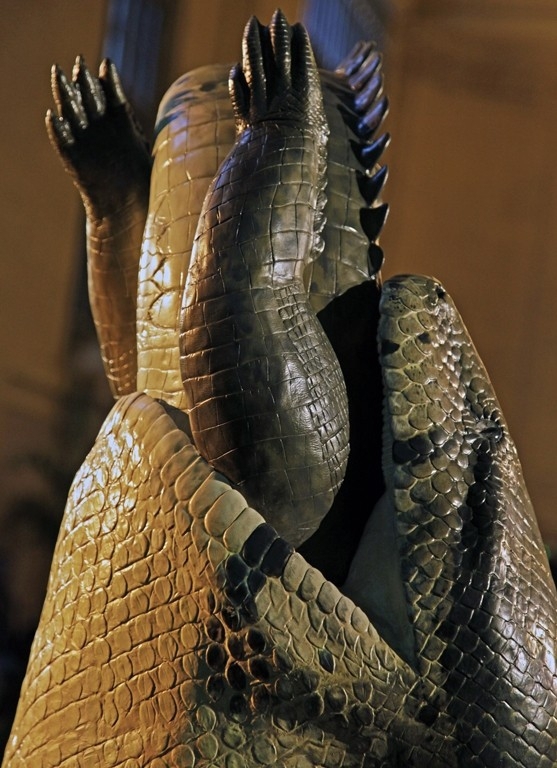 Гигантская змея титанабоа