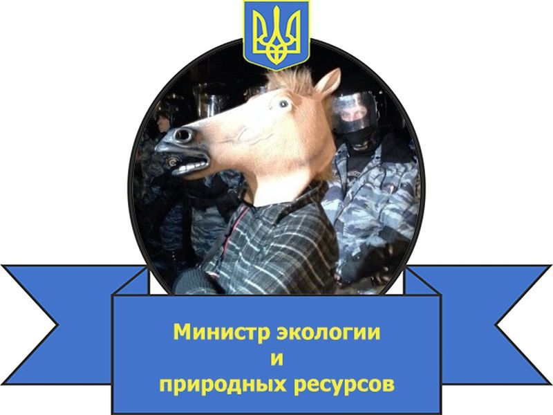 Оппозиционное правительство Украины