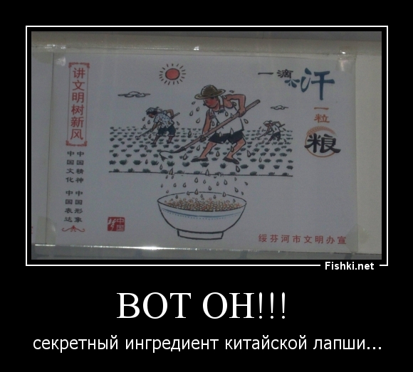 ВОТ ОН!!! 