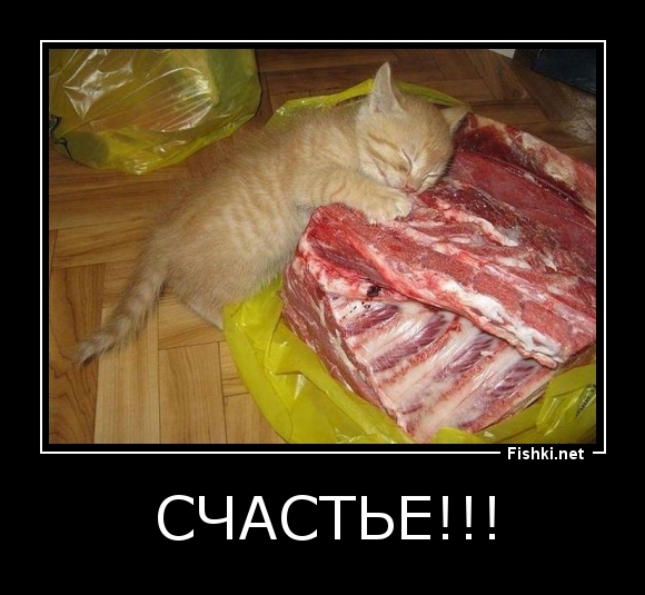Счастье!!!