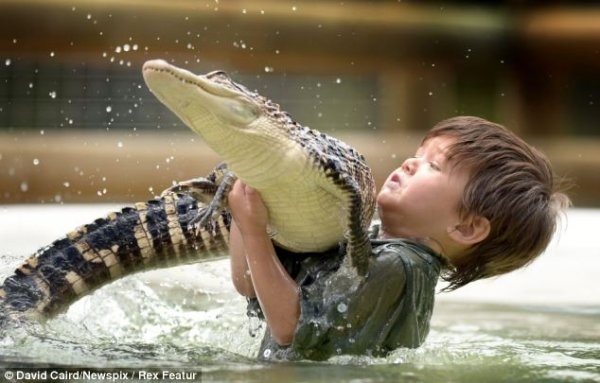 Игры с диким крокодилом на Филиппинах  
