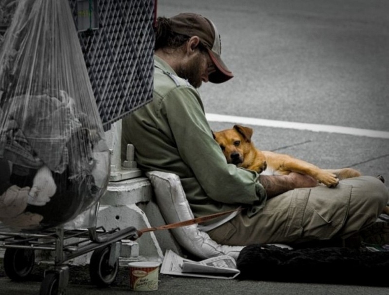 Интересные факты на разные темы