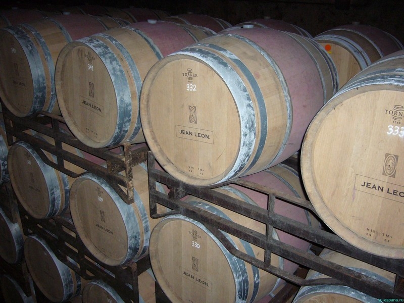 Интересные факты на разные темы