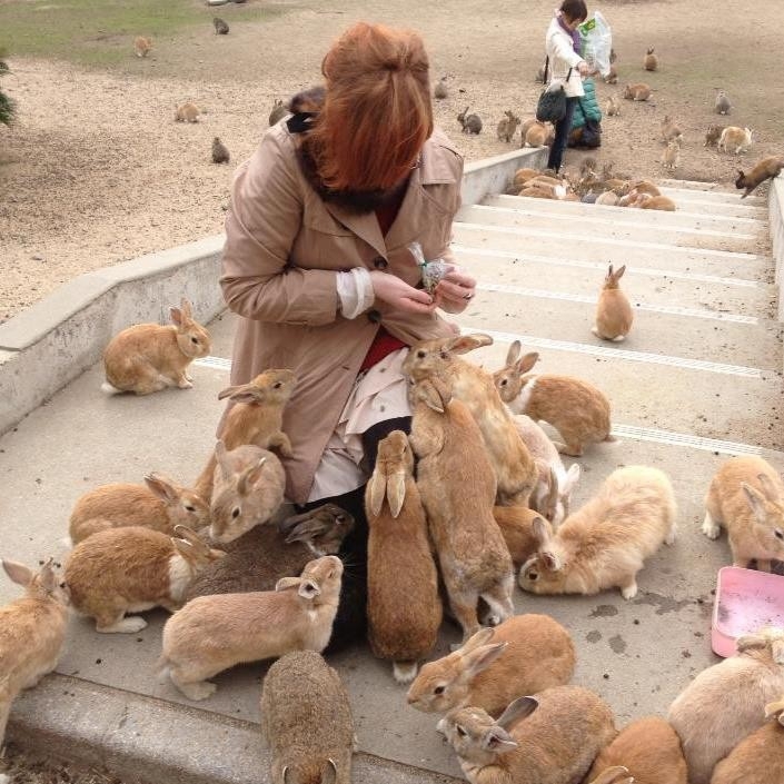 Остров кроликов в Японии